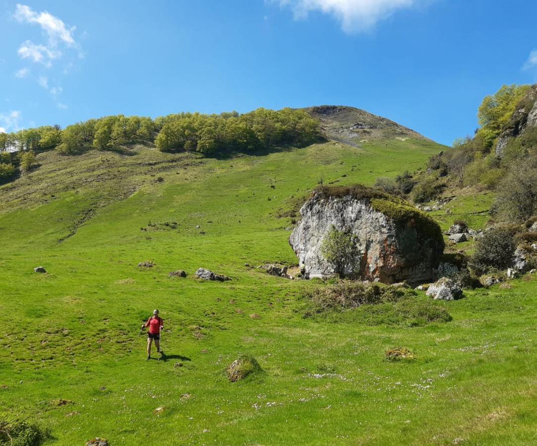L'Argalyde Esprit Pyrenees Wellness & Cycling Daire Ayzac-Ost Dış mekan fotoğraf